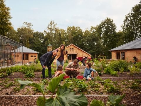 Center Parcs Het Meerdal - Horst aan de Maas - Afbeelding N°4