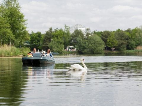 Center Parcs Het Meerdal - Horst aan de Maas