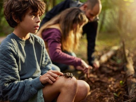 Center Parcs Het Meerdal - Horst aan de Maas