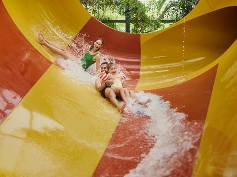 Center Parcs Het Meerdal - Horst aan de Maas