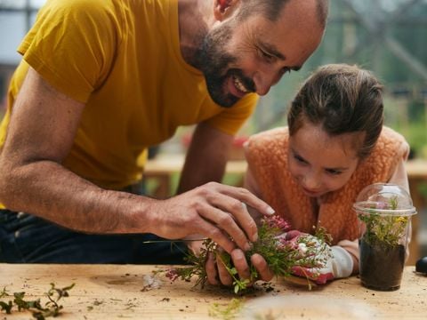 Center Parcs Het Meerdal - Horst aan de Maas