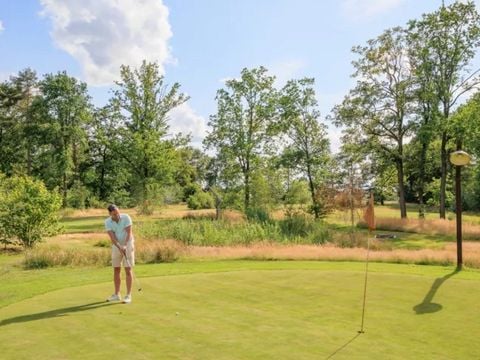 Recreatiepark Kaps - Camping Tubbergen - Afbeelding N°2