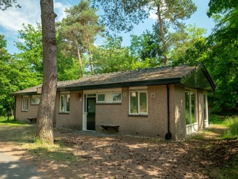 Landal Coldenhove - Brummen - Afbeelding N°0