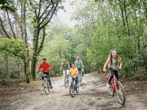 Landal Miggelenberg - Camping Apeldoorn - Afbeelding N°4