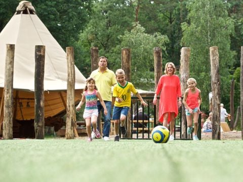 Landal Miggelenberg - Camping Apeldoorn - Afbeelding N°5