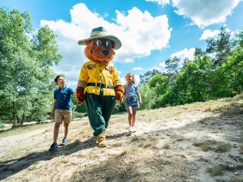 Landal Miggelenberg - Camping Apeldoorn - Afbeelding N°3