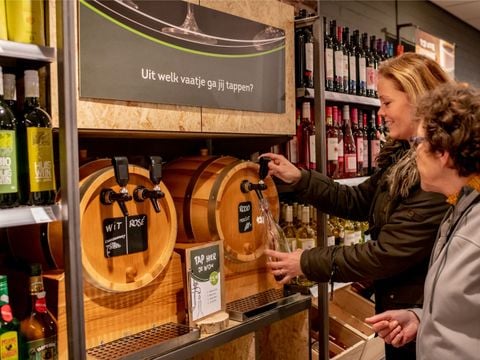 Landal Aelderholt - Coevorden