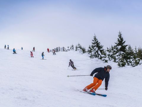 Landal Salztal Paradies - Nedersaksen
