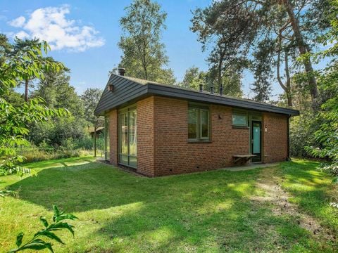 Landal Twenhaarsveld - Rijssen-Holten - Afbeelding N°0