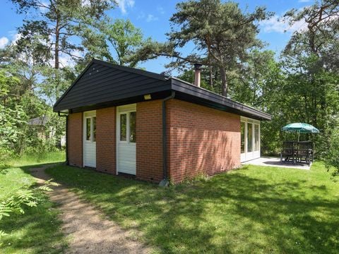 Landal Twenhaarsveld - Rijssen-Holten - Afbeelding N°0