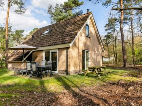 Landal Twenhaarsveld - Rijssen-Holten - Afbeelding N°0