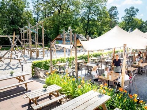 Landal Twenhaarsveld - Rijssen-Holten - Afbeelding N°2