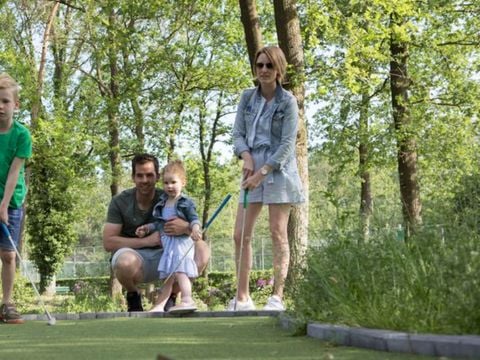 Landal Twenhaarsveld - Camping Rijssen-Holten - Afbeelding N°5