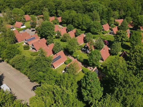 't Hooge Holt - Hardenberg - Afbeelding N°30