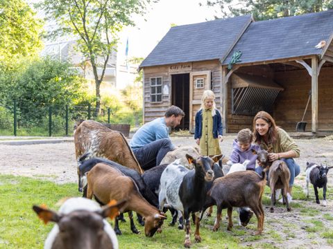 Sunparks Kempense Meren - Antwerpen - Afbeelding N°32