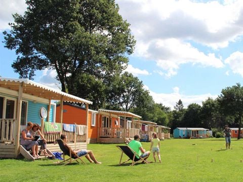 Molecaten Park Kuierpad - Camping Coevorden - Afbeelding N°4