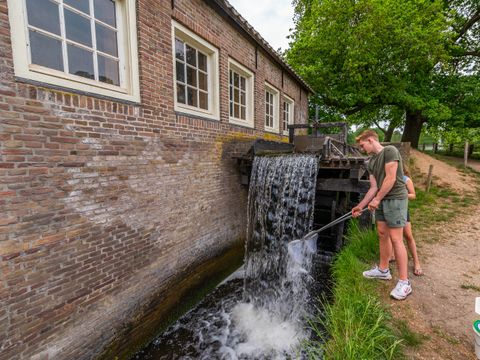 EuroParcs De Hooge Veluwe - Arnhem - Afbeelding N°53