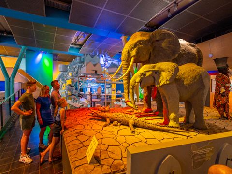 EuroParcs De Hooge Veluwe - Arnhem - Afbeelding N°50