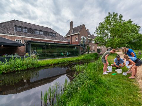 EuroParcs De Hooge Veluwe - Arnhem - Afbeelding N°52