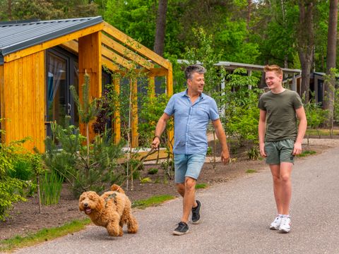 EuroParcs De Hooge Veluwe - Arnhem - Afbeelding N°34