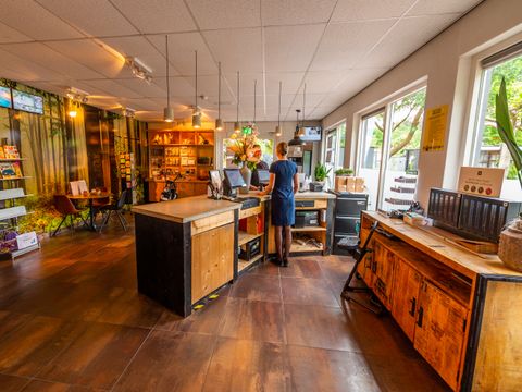 EuroParcs De Hooge Veluwe - Arnhem