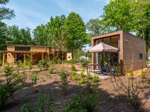EuroParcs De Hooge Veluwe - Arnhem - Afbeelding N°38