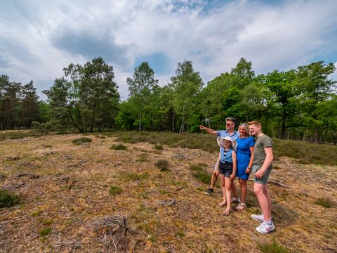 EuroParcs De Hooge Veluwe - Arnhem - Afbeelding N°46