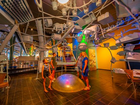 EuroParcs De Hooge Veluwe - Arnhem - Afbeelding N°49