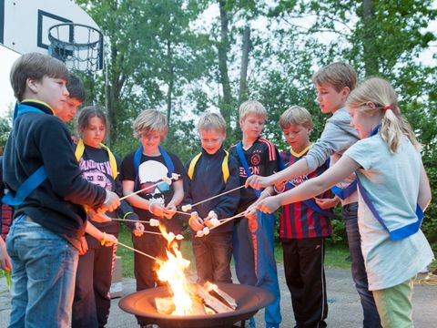 Vakantiepark Koningshof - Katwijk aan Zee - Afbeelding N°31