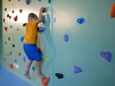 Vakantiepark Koningshof - Katwijk aan Zee - Afbeelding N°39