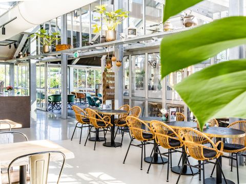 Vakantiepark Koningshof - Katwijk aan Zee - Afbeelding N°18