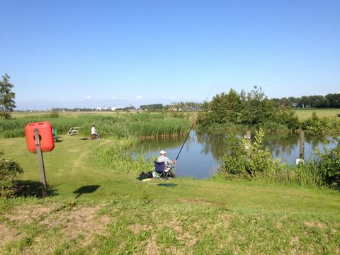 Vakantiepark Koningshof - Katwijk aan Zee - Afbeelding N°28