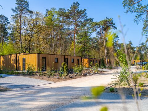 EuroParcs Beekbergen - Apeldoorn - Afbeelding N°41