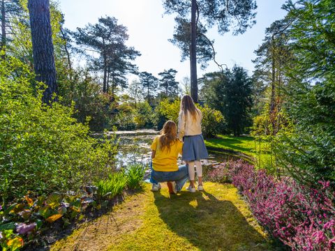 EuroParcs Beekbergen - Apeldoorn - Afbeelding N°32