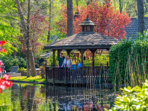 EuroParcs Beekbergen - Apeldoorn - Afbeelding N°42