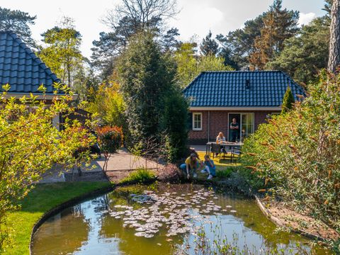 EuroParcs Beekbergen - Apeldoorn - Afbeelding N°35