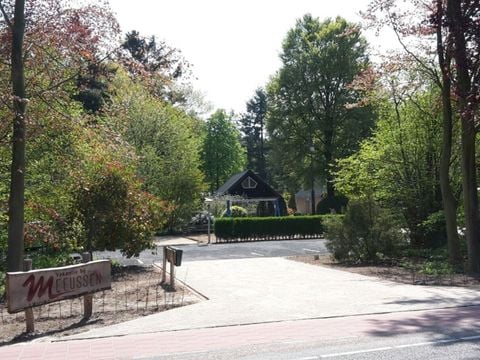Bungalowpark Schuttersoord - Mook en Middelaar - Afbeelding N°5