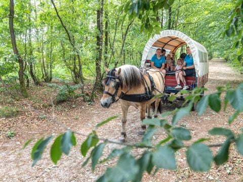 Landal Het Land van Bartje - Borger-Odoorn - Afbeelding N°5