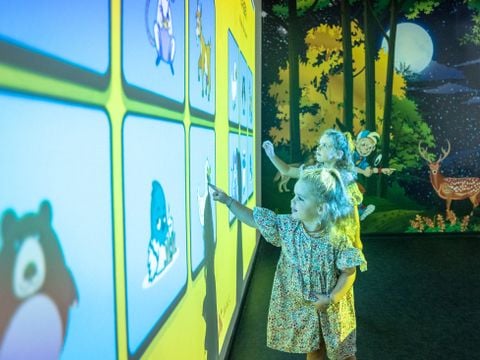 Landal Het Land van Bartje - Borger-Odoorn - Afbeelding N°4