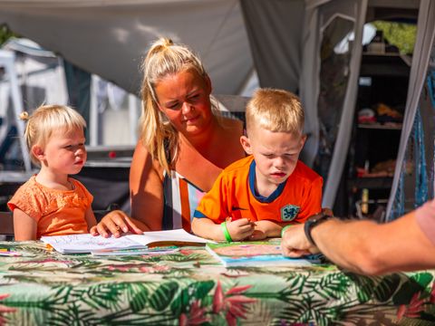 Vakantiepark Witterzomer - Assen - Afbeelding N°62