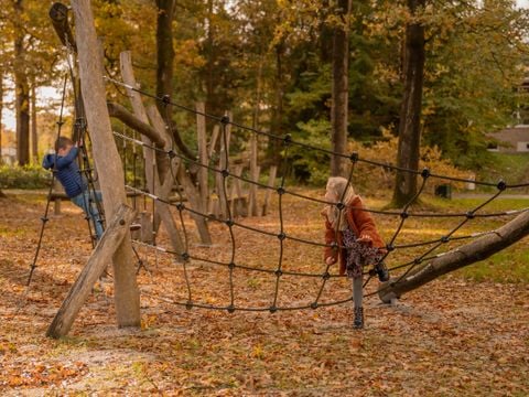 Vakantiepark Witterzomer - Assen - Afbeelding N°3