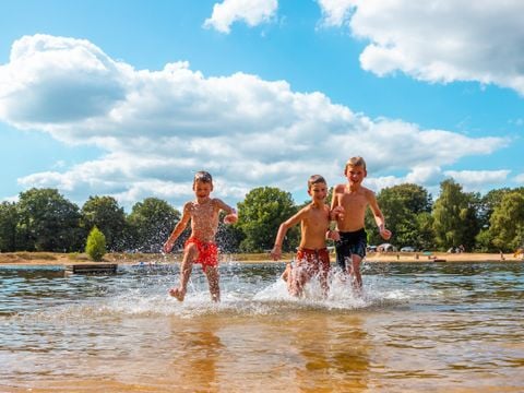 Vakantiepark Witterzomer - Assen