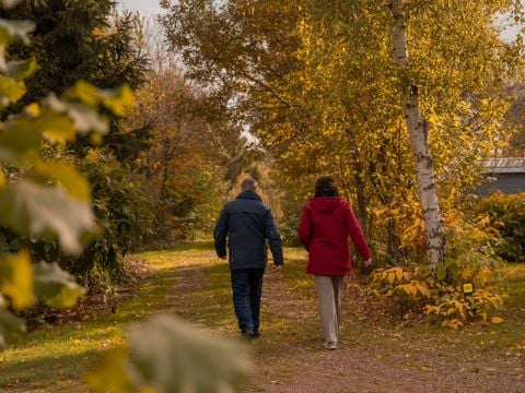 Vakantiepark Witterzomer - Assen