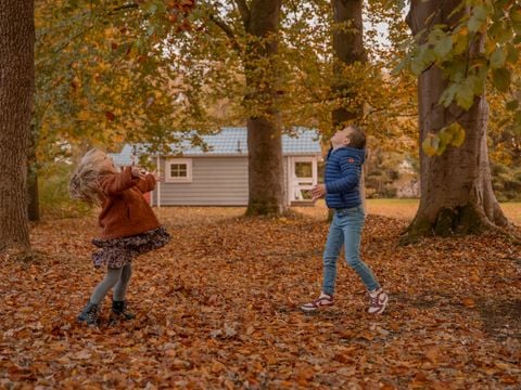 Vakantiepark Witterzomer - Assen - Afbeelding N°4