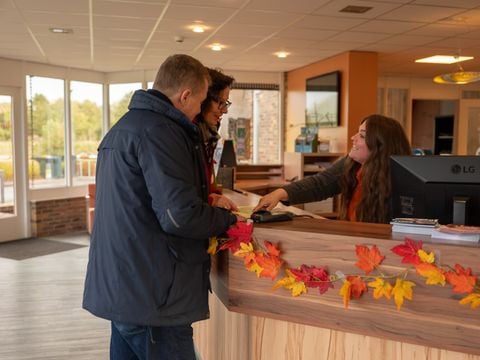 Vakantiepark Witterzomer - Assen - Afbeelding N°4