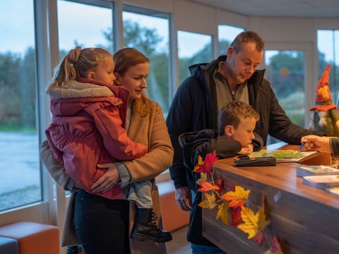 Vakantiepark Witterzomer - Assen - Afbeelding N°10