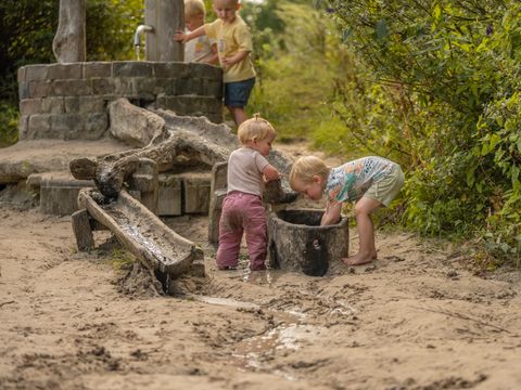 Vakantiepark Witterzomer - Assen - Afbeelding N°44