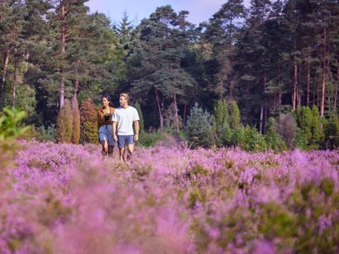 Center Parcs Bispinger Heide - Nedersaksen