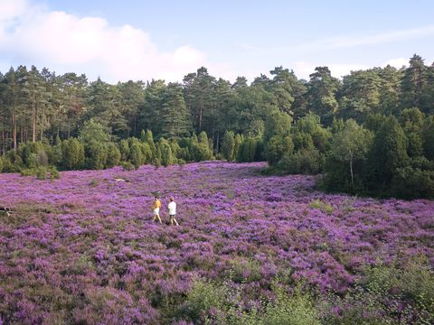 Center Parcs Bispinger Heide - Nedersaksen