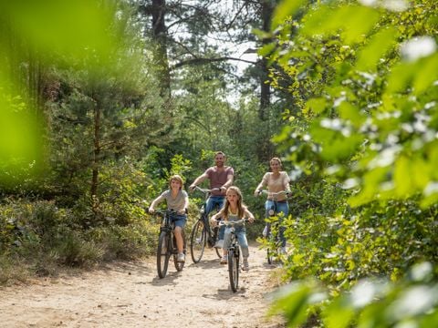 Center Parcs Bispinger Heide - Nedersaksen - Afbeelding N°3